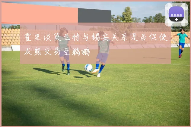霍里谈莫兰特与锡安关系是否促使灰熊交易至鹈鹕