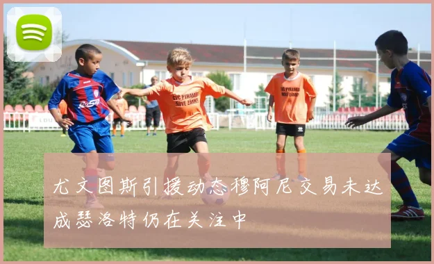 尤文图斯引援动态穆阿尼交易未达成瑟洛特仍在关注中