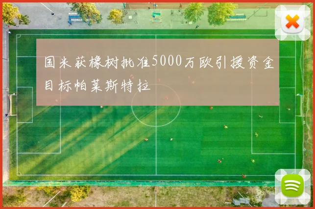 国米获橡树批准5000万欧引援资金目标帕莱斯特拉